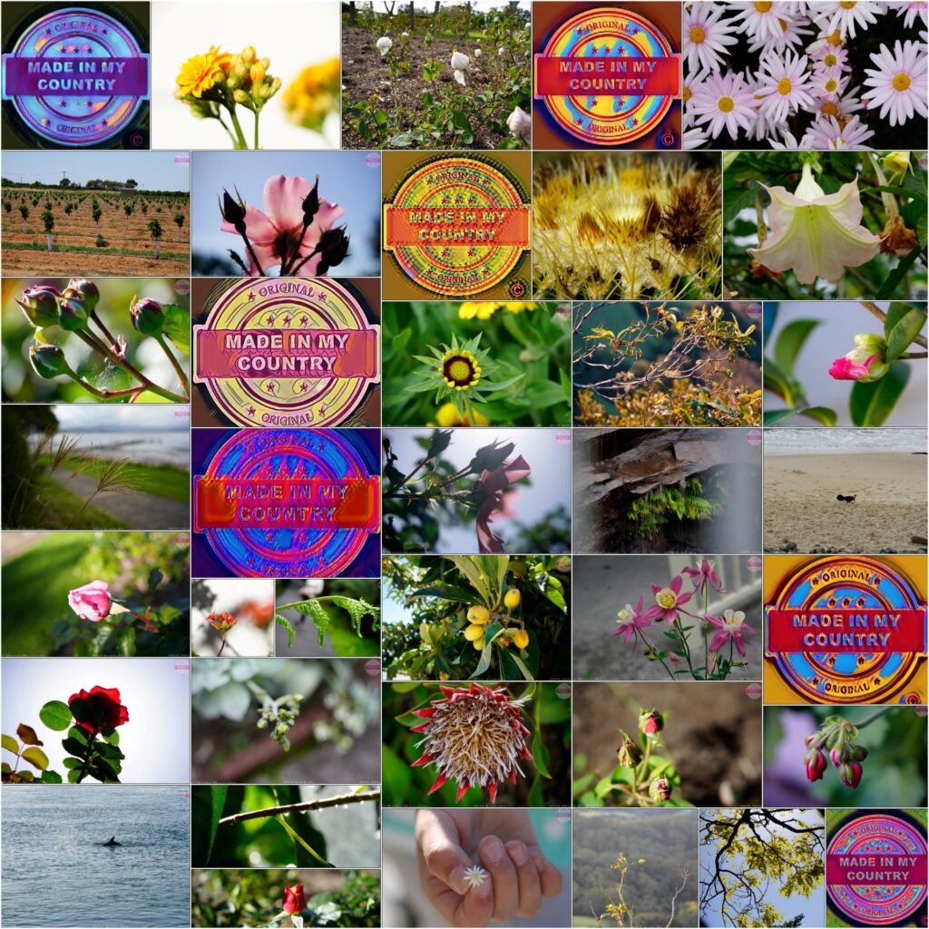 Made in Australia!  MadeinMycountry is a global platform that celebrates and supports local history, culture, art and nature conservation efforts. For two decades, we have been sponsoring local museums, cultural organizations, travel destinations, historical sites and various cultural events around the world.